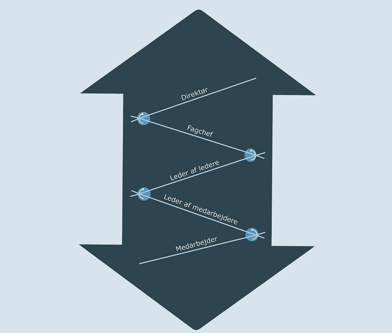 Oversigt over lederniveau udvikling fra medarbejder til leder af medarbejdere til leder af ledere til fagchef til direktion.