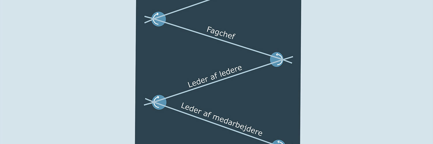 Oversigt over lederniveau udvikling fra medarbejder til leder af medarbejdere til leder af ledere til fagchef til direktion.